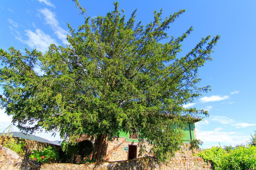 Hotel Rural Cuadroveña Kültér fotó